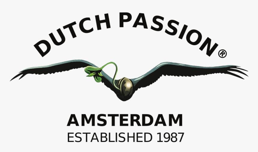 Dutch Passion
