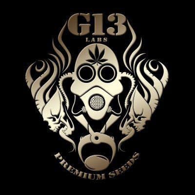 G13 Labs