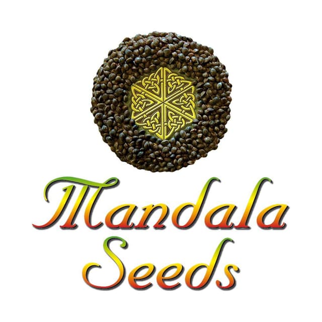 Mandala Seeds