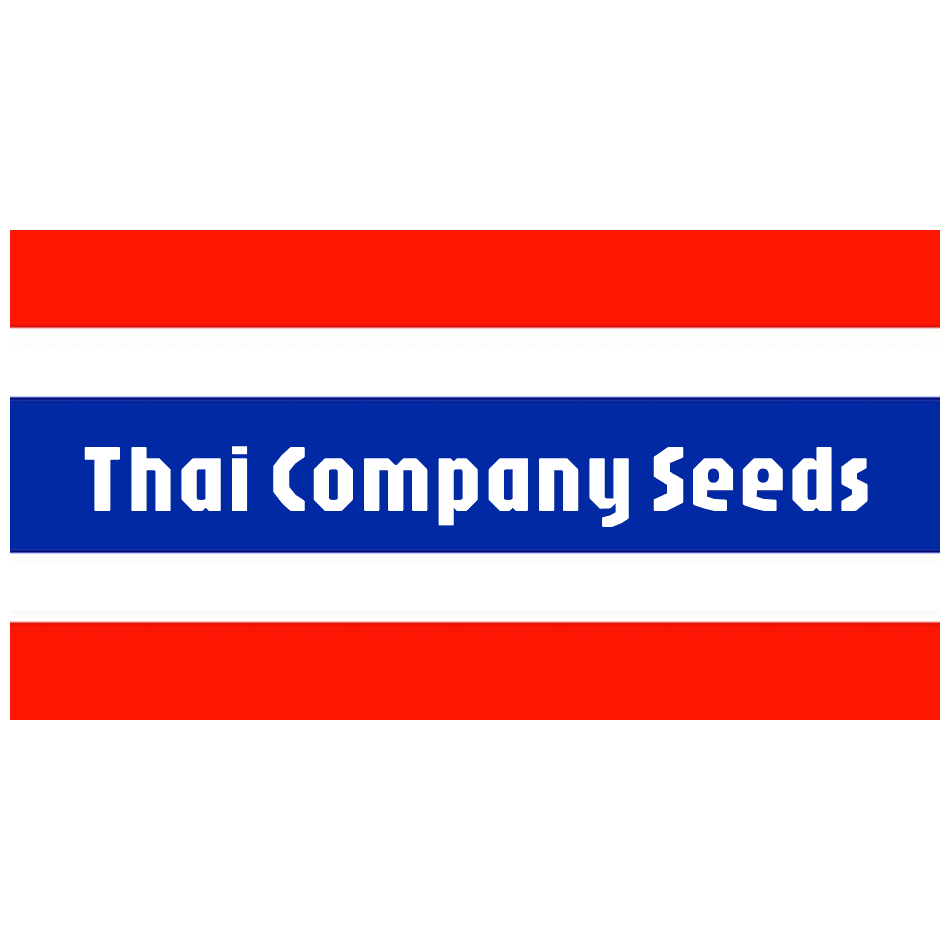 Thai Company Seeds and Rasteeha Seeds