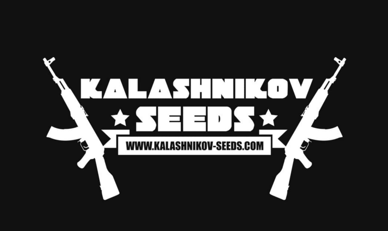Kalashnikov Seeds
