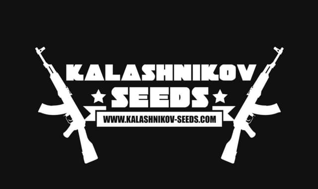 Kalashnikov Seeds