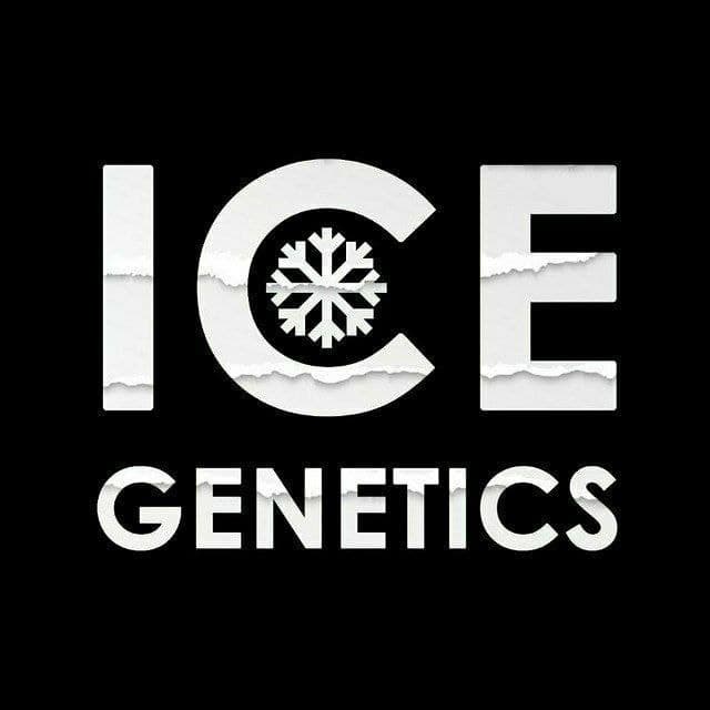 ICE Genetics