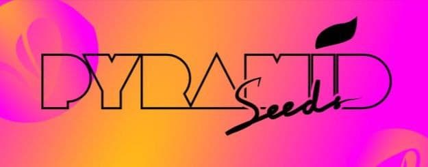 Pyramid Seeds