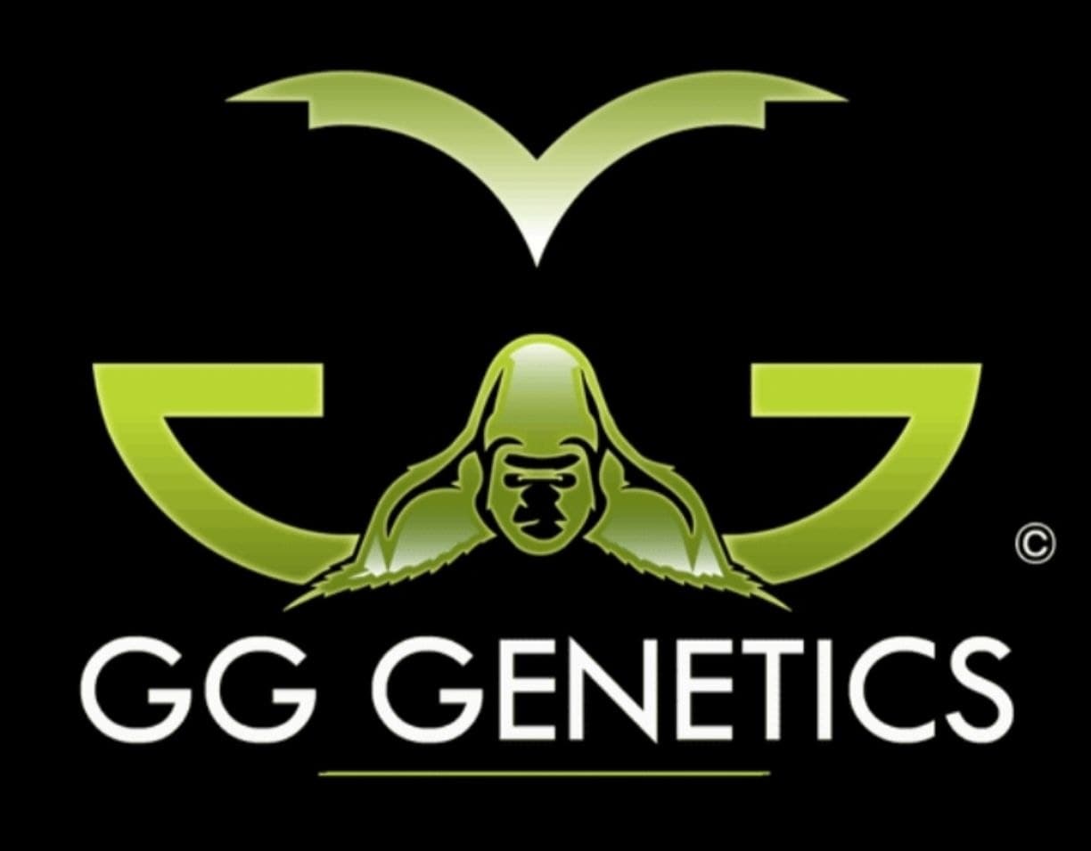 GG Genetics