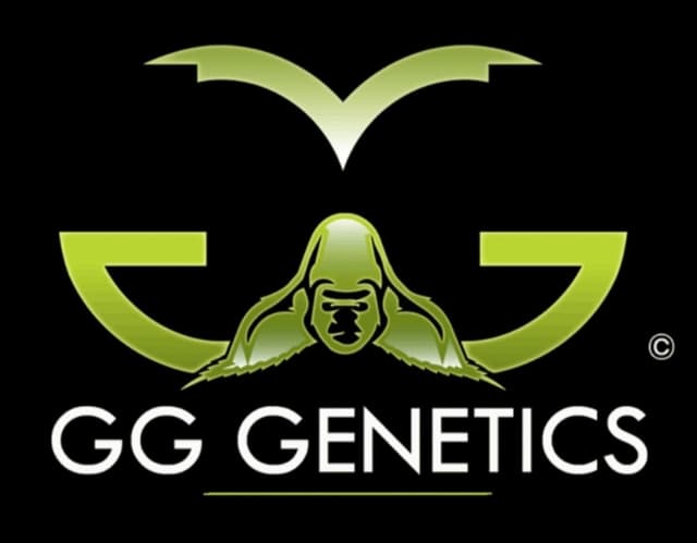 GG Genetics
