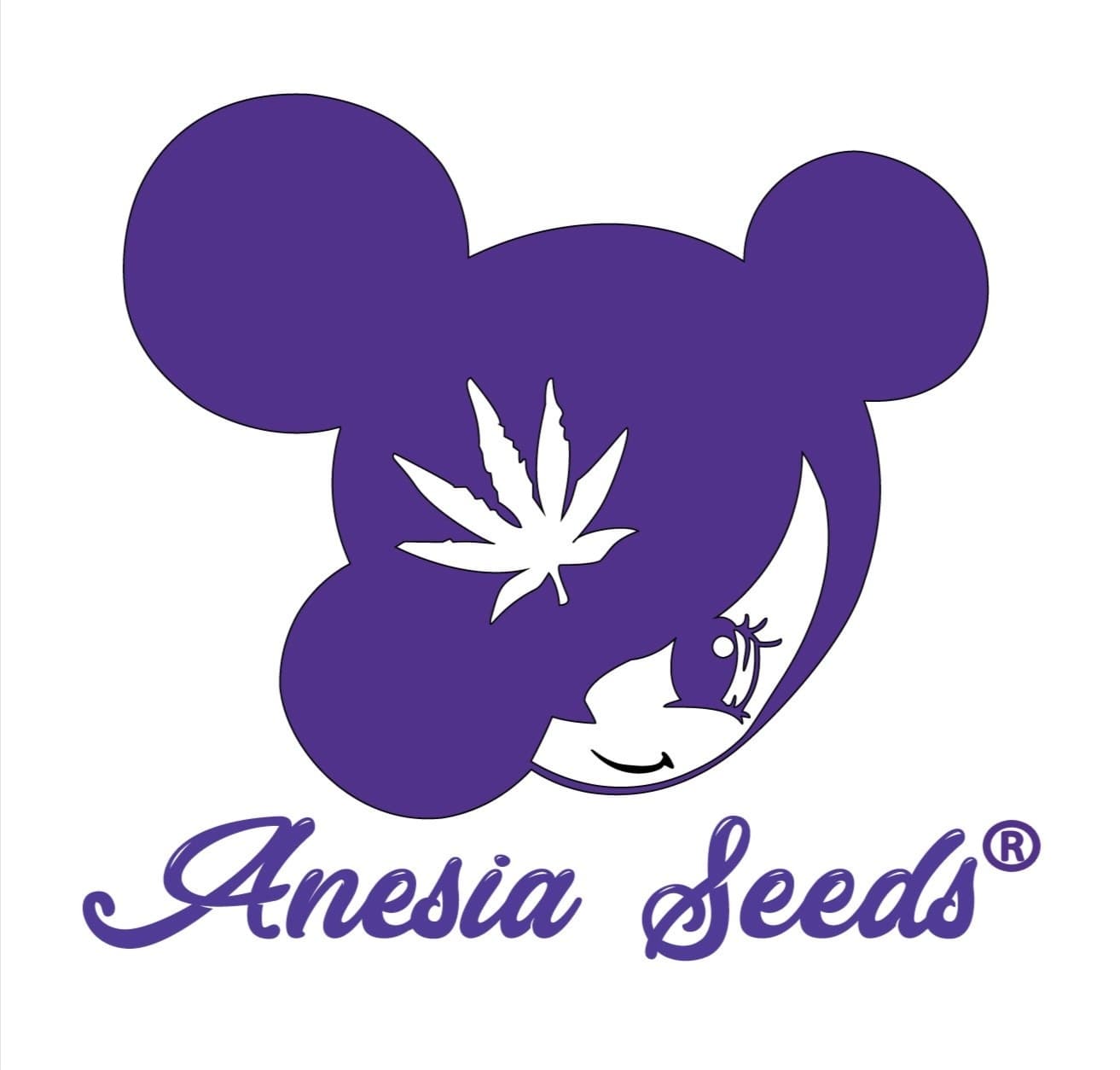Anesia Seeds