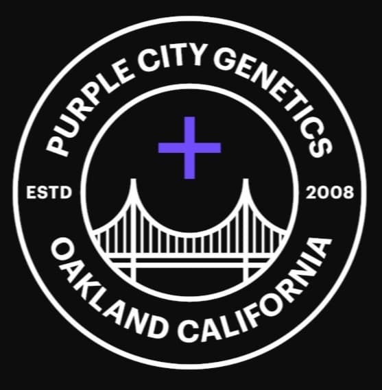Purple City Genetics